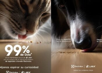 Copia de Diseno sin titulo