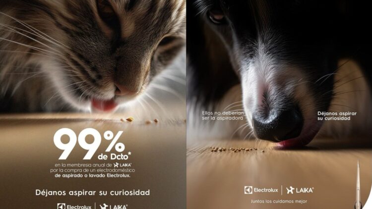 Electrolux y Laika lanzan campaña para evitar que las mascotas ingieran objetos peligrosos 1 Copia de Diseno sin titulo