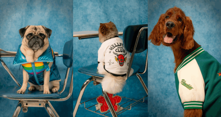 Diseno 2025 10 24T170458.970