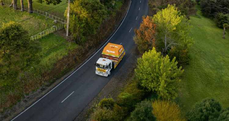 Diseno 2025 10 31T104640.171