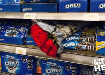 PORTAL 2025 10 22T115036.277