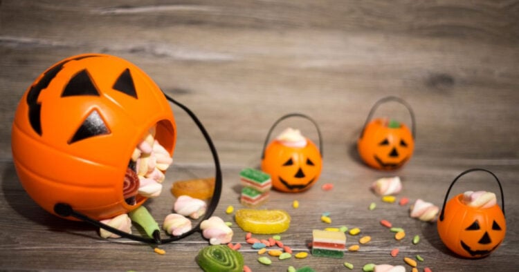 PORTAL 2025 10 31T122632.774