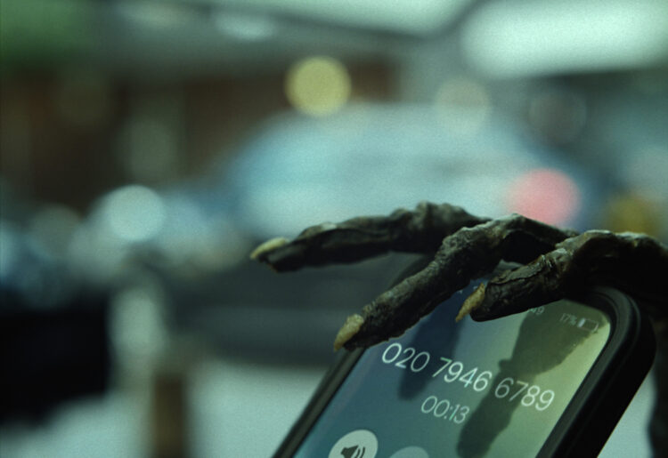 STAMMA STILL 005 0740.rOO6w X4