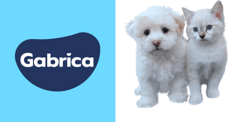 imagen destacada WP 61