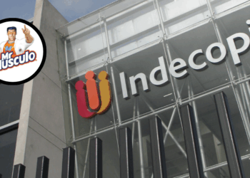 imagen destacada WP 66