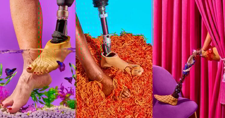 PORTAL 2025 11 05T141725.765