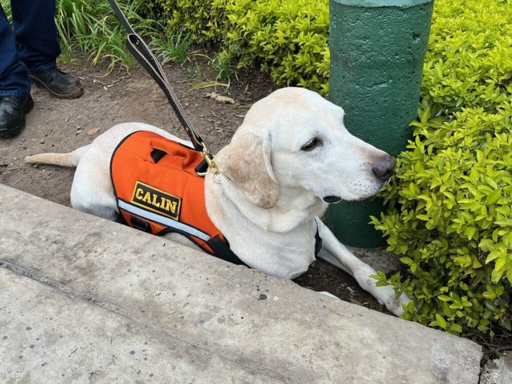 WhatsApp Image 2025 11 24 at 3.11.30 PM