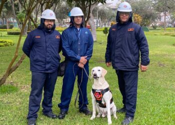 WhatsApp Image 2025 11 24 at 4.40.24 PM