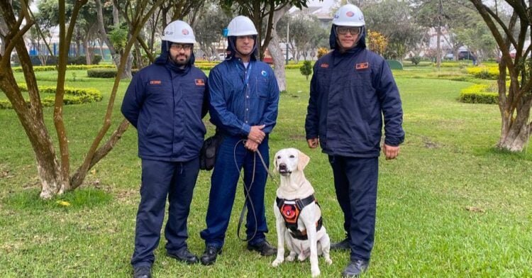 WhatsApp Image 2025 11 24 at 4.40.24 PM