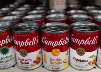 WhatsApp Image 2025 11 26 at 5.08.29 PM