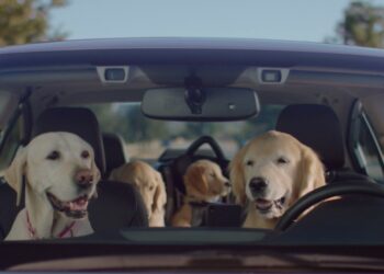 WhatsApp Image 2025 11 27 at 2.38.39 PM