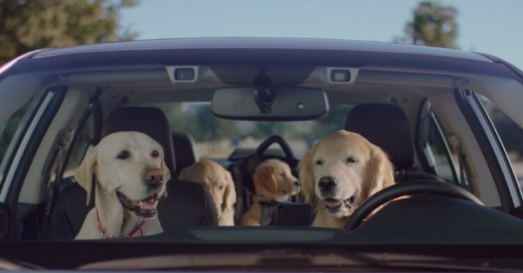 WhatsApp Image 2025 11 27 at 2.38.39 PM