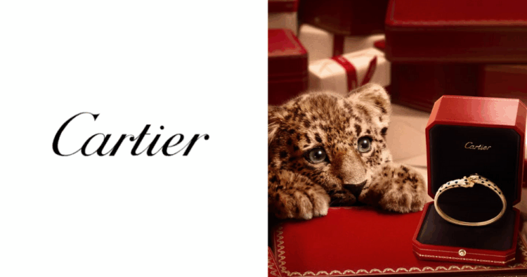 imagen destacada WP 96