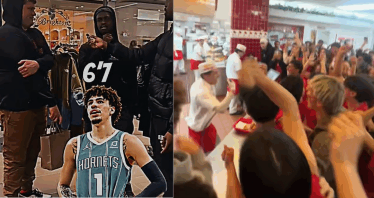 Diseno 2025 12 15T171719.509