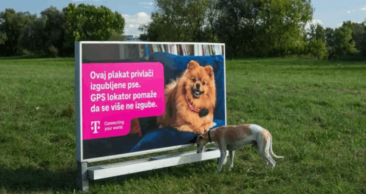 Diseno 2025 12 19T115625.459 1