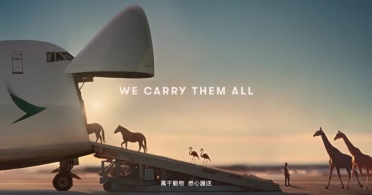 Diseno sin titulo 2025 12 22T113201.099