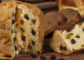 PORTAL 2025 12 15T142200.405