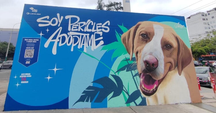 Adopciones caninas que iluminan vidas: 13 murales ecológicos generan conciencia en San Borja 1 PORTAL 2025 12 19T153932.949