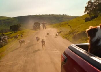 PORTAL 2025 12 19T164217.971