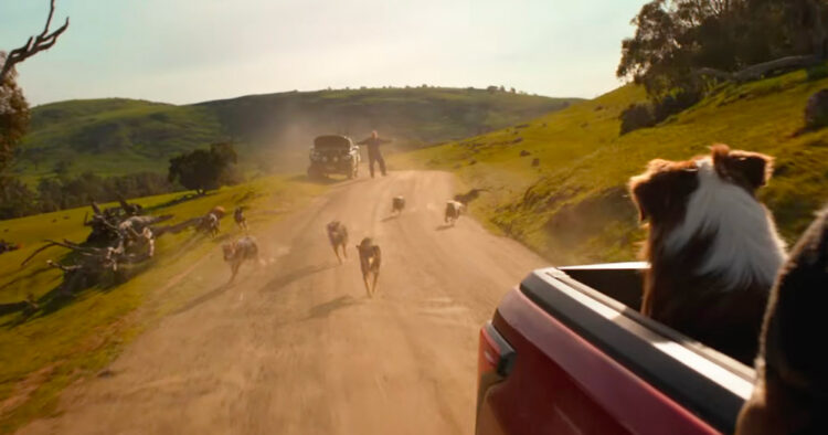 PORTAL 2025 12 19T164217.971