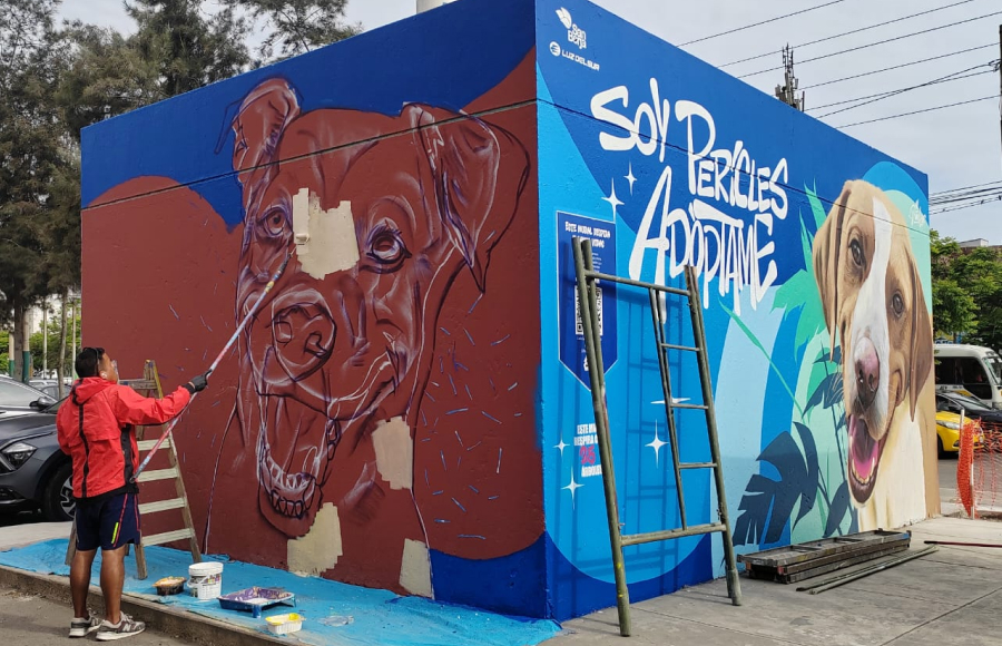 Adopciones caninas que iluminan vidas: 13 murales ecológicos generan conciencia en San Borja 3 grafica cuerpo 2025 12 19T161039.366