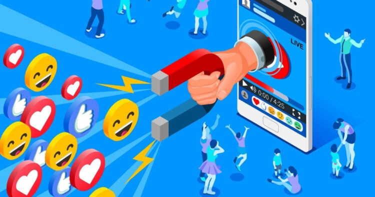 portal 2025 12 12T171656.940