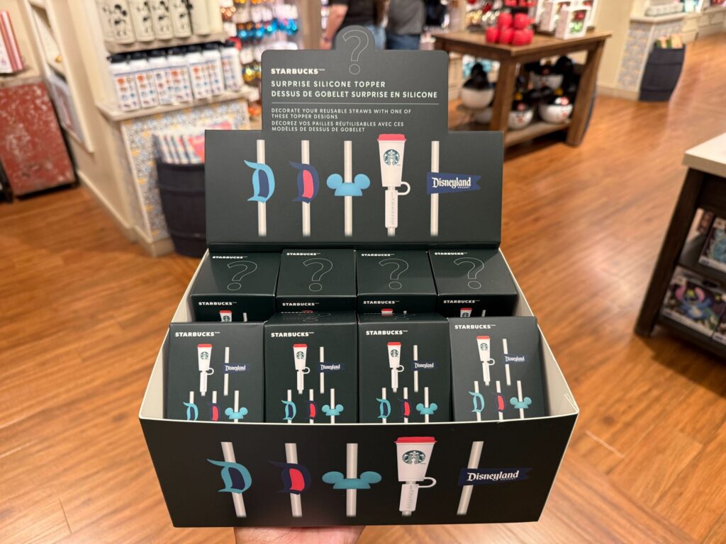DLR Downtown Disney Custom Starbucks Tumblers 15