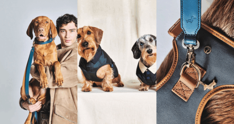 Giorgio Armani lleva su visión de lujo al universo de las mascotas 1 Diseno 54