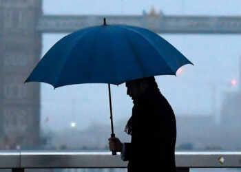 PORTAL 2026 01 16T171603.413