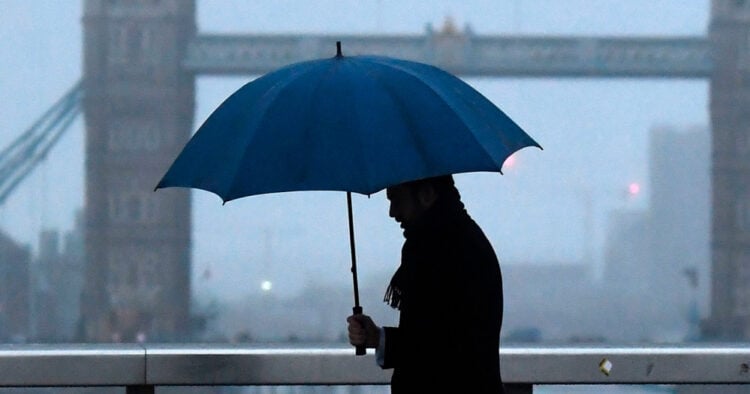 PORTAL 2026 01 16T171603.413