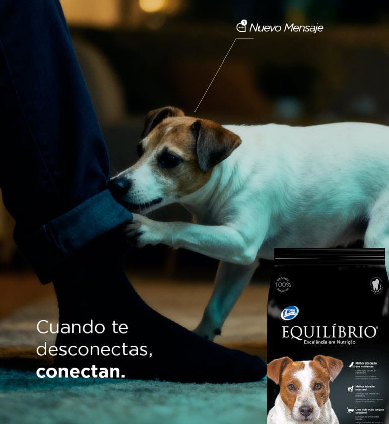 Publicidad de Equilibrio muestra que las conexiones reales valen más que las digitales 2 grafica cuerpo 2026 01 07T130214.940