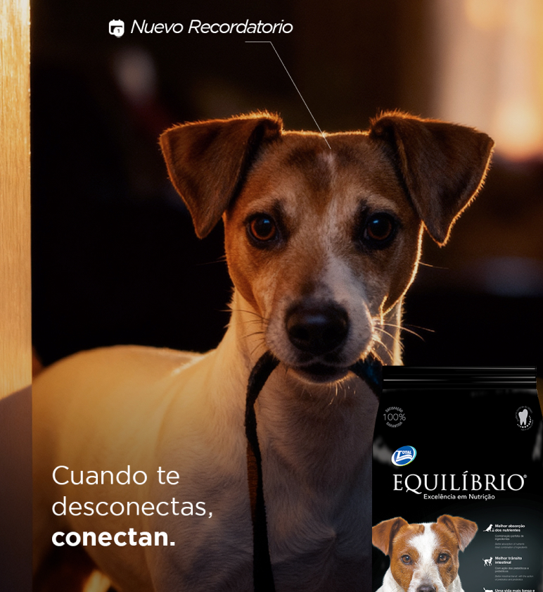 Publicidad de Equilibrio muestra que las conexiones reales valen más que las digitales 3 grafica cuerpo 2026 01 07T144012.352 1
