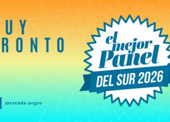 grafica notaportal 1