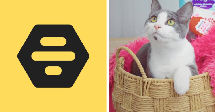 Marca de arena para gatos se introduce en Bumble para promover la adopción este San Valentín 1 imagen destacada WP 2026 02 06T104027.738