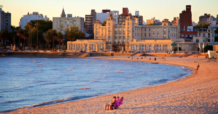 portal.jpg 2026 02 25T114820.136