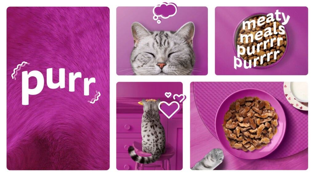 “Trust The Purr”: la nueva campaña global de WHISKAS 2 676b1b136db7e993e9cf36c8 65ea745b8c8d2524d662eaab whiskas 06