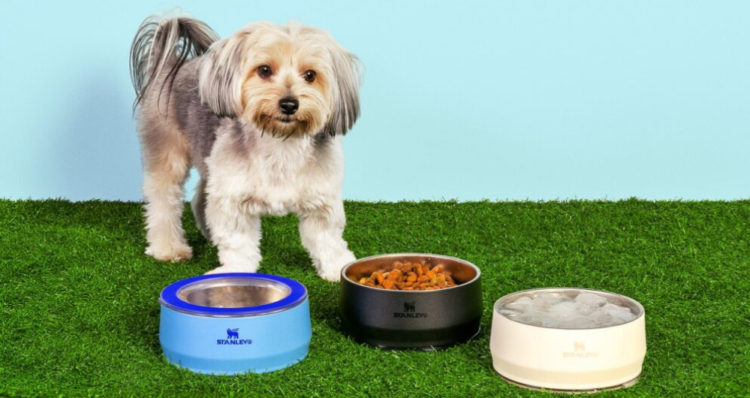 Diseno 2026 03 02T111200.195