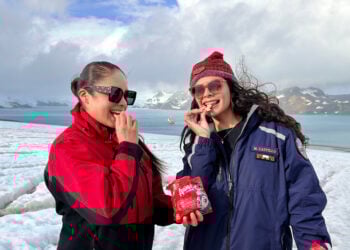 PORTAL SAN JORGE ANIMALITOS