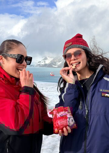 MercadoNegro 42 PORTAL SAN JORGE ANIMALITOS