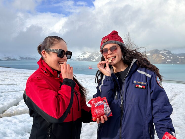 PORTAL SAN JORGE ANIMALITOS