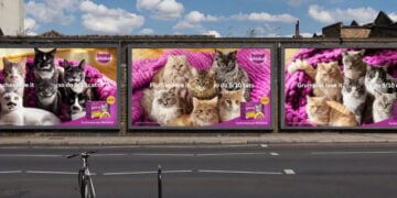 “Trust The Purr”: la nueva campaña global de WHISKAS 6 PORTAL.jpg 50