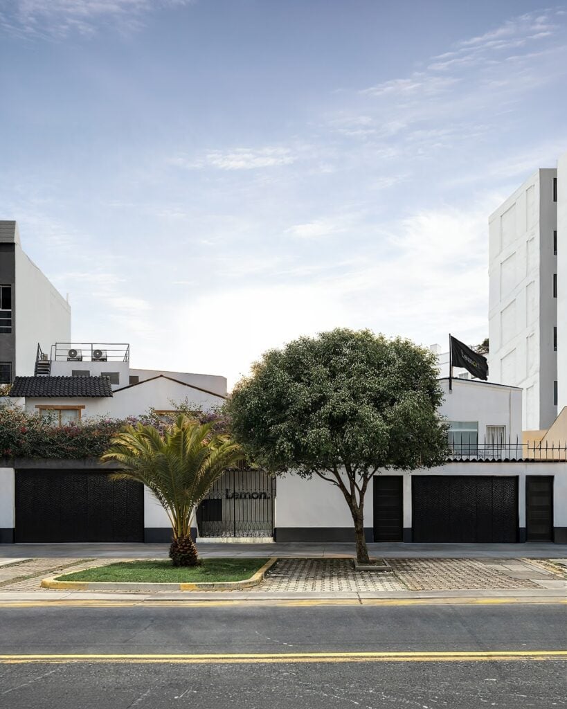 Lemon acelera su expansión en 2026: nueva sede, marcas globales y un lanzamiento que sacude su categoría 2 Lemon