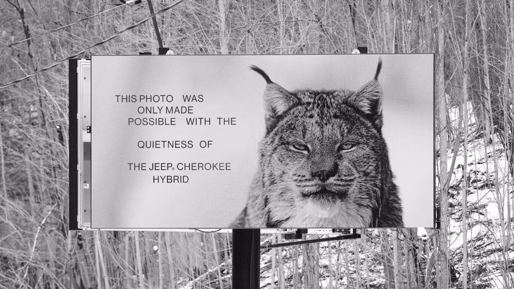 Jeep demuestra la tecnología silenciosa de su Cherokee Hybrid con fotografías de vida silvestre 5 53FAAQCANBG7JJ32JV2MMQNS7Q