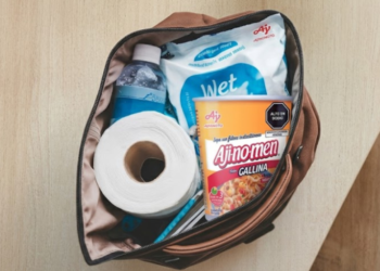 Ajinomen elecciones 2026