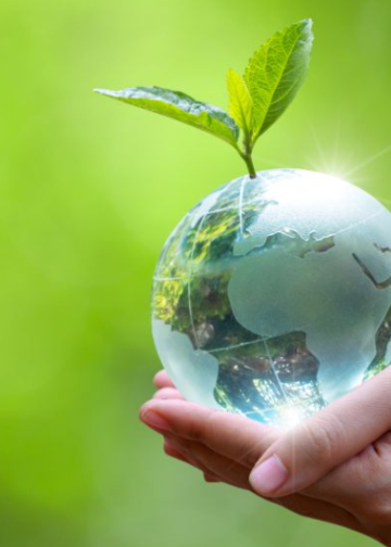 Día de la Tierra: 4 campañas creativas que ponen el foco en la sostenibilidad y la crisis climática