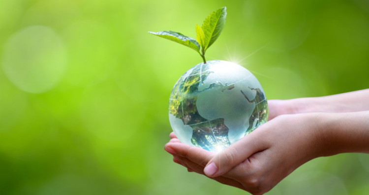 Día de la Tierra: 4 campañas creativas que ponen el foco en la sostenibilidad y la crisis climática