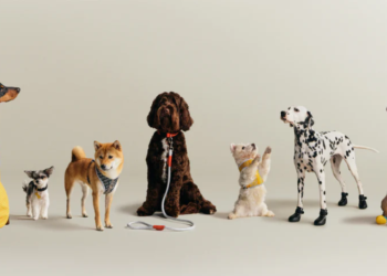 Kith y wagwear lanzan colección de accesorios y ropa para perros