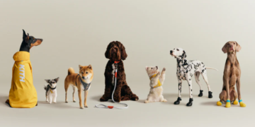 Kith y wagwear lanzan colección de accesorios y ropa para perros