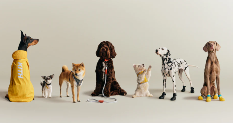 Kith y wagwear lanzan colección de accesorios y ropa para perros