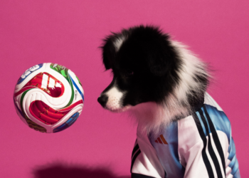adidas lanza camisetas de la Copa Mundial de la FIFA 2026 para mascotas